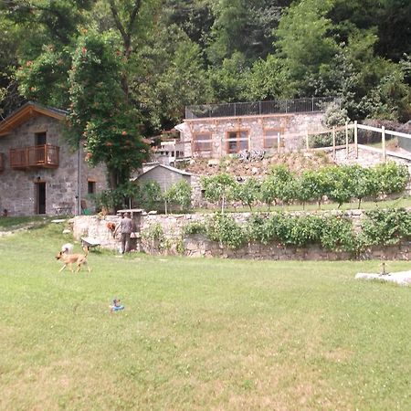 Agriturismo Ai Ronchi Сорико Экстерьер фото