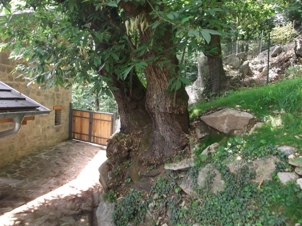 Agriturismo Ai Ronchi Сорико Экстерьер фото